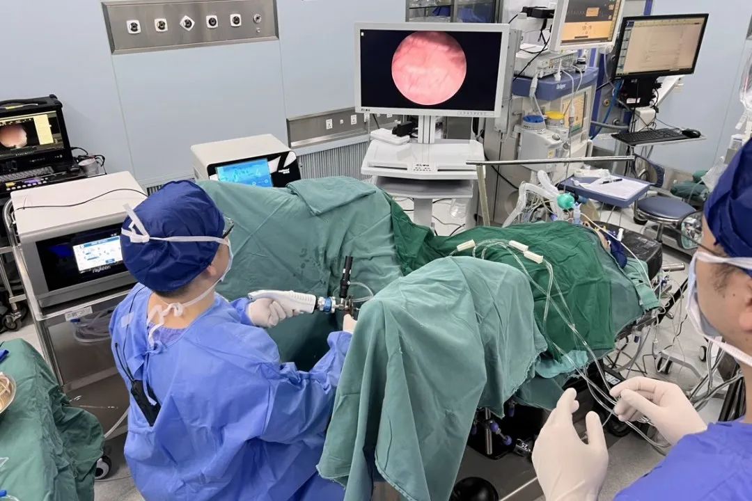 1677477581988794.jpg 微信圖片_20230227111802.jpg