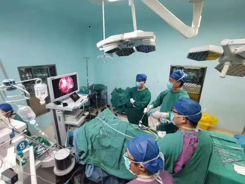 1679549780310796.jpg 微信圖片_20230323133241.jpg