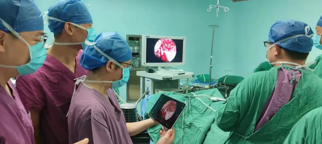 1679550578367347.jpg 微信圖片_20230323133259.jpg